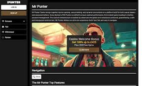 Mr Punter Gambling Enterprise Evaluation 2026
